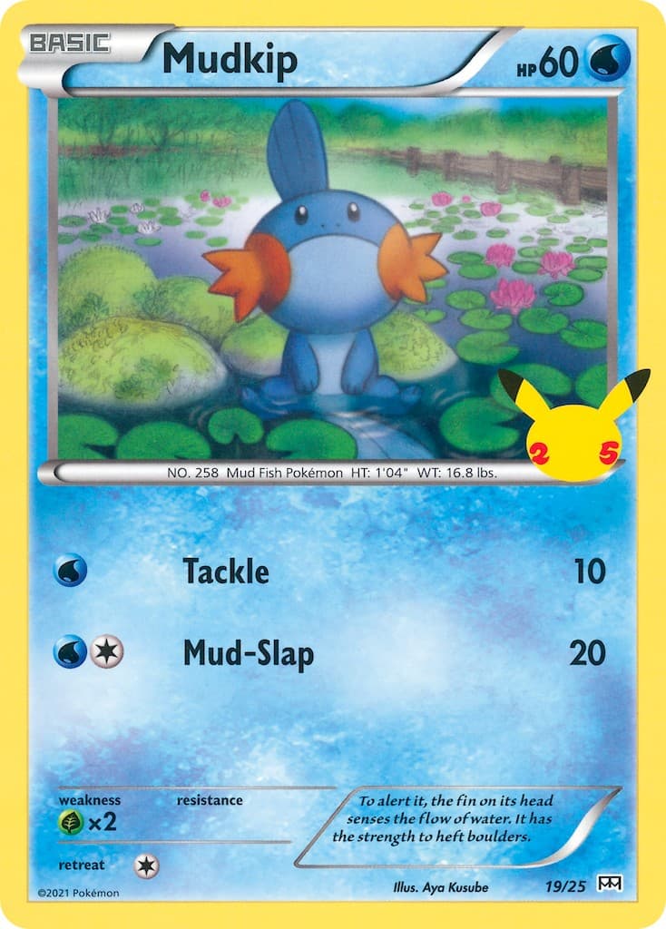 Mudkip - Image 1