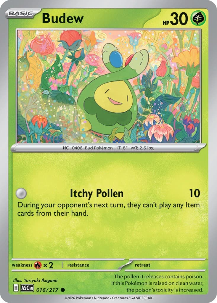 Budew - Image 1