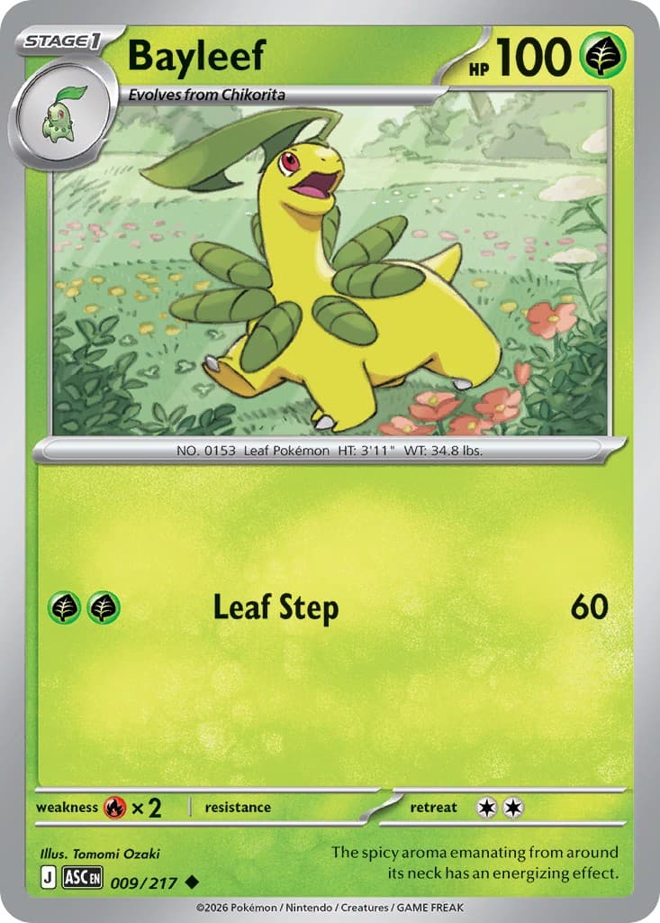 Bayleef - Image 1