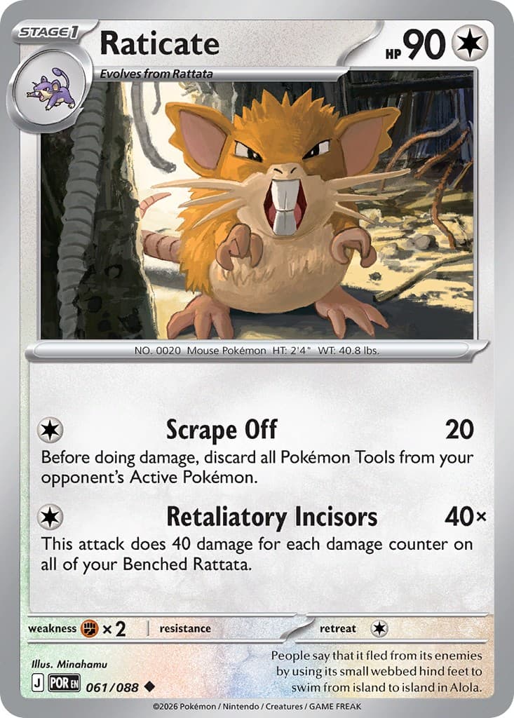 Raticate - Image 1