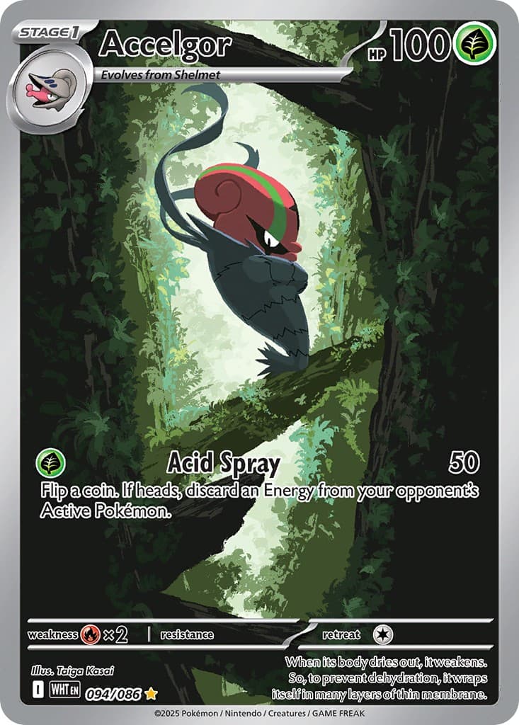Accelgor - Image 1