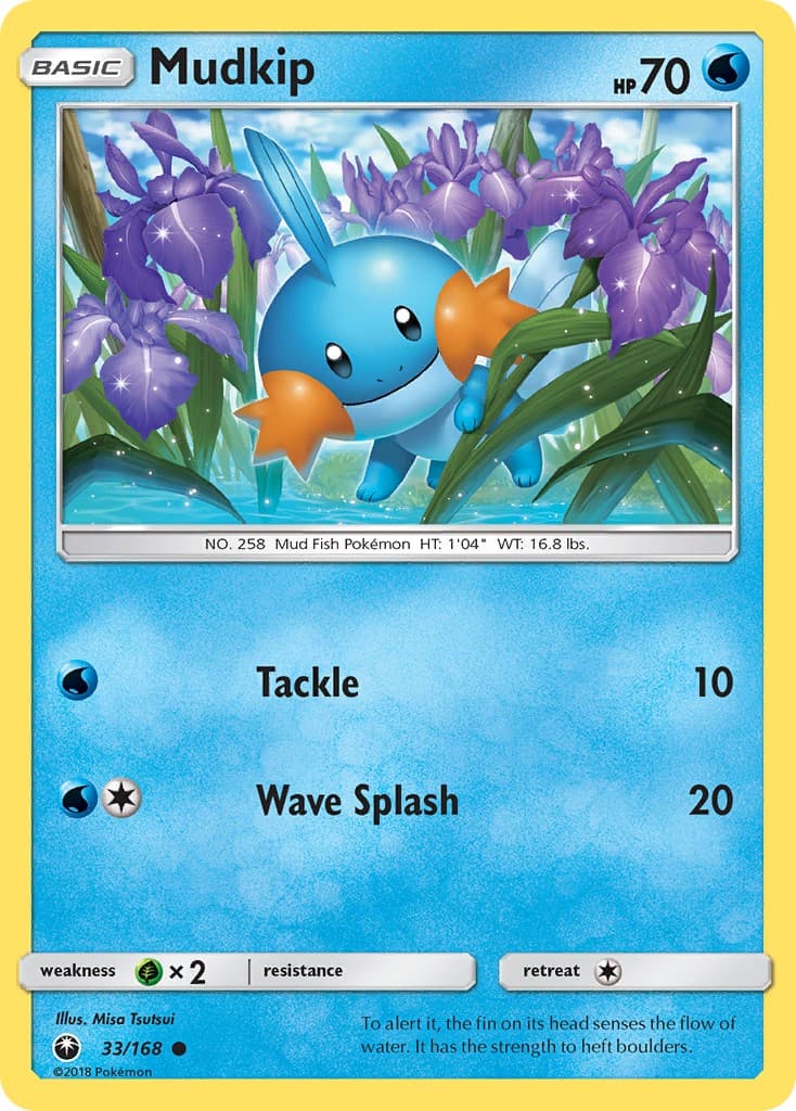 Mudkip - Image 1