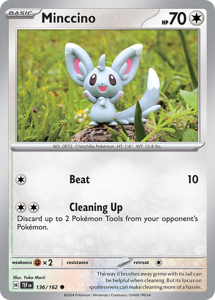 Minccino - Image 1