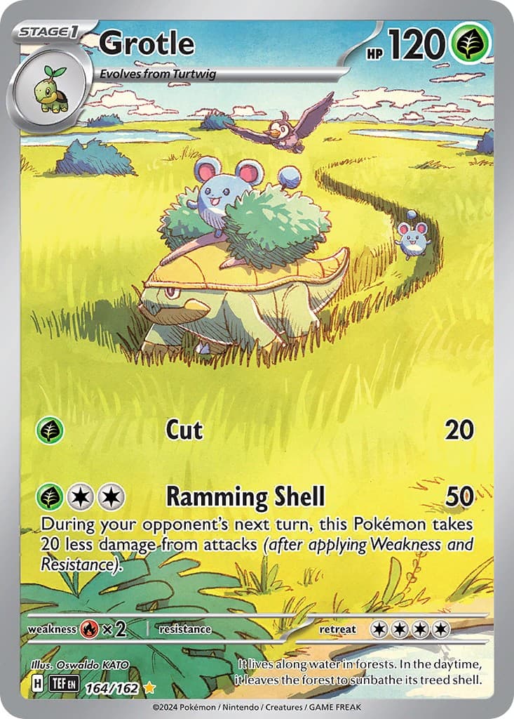 Grotle - Image 1