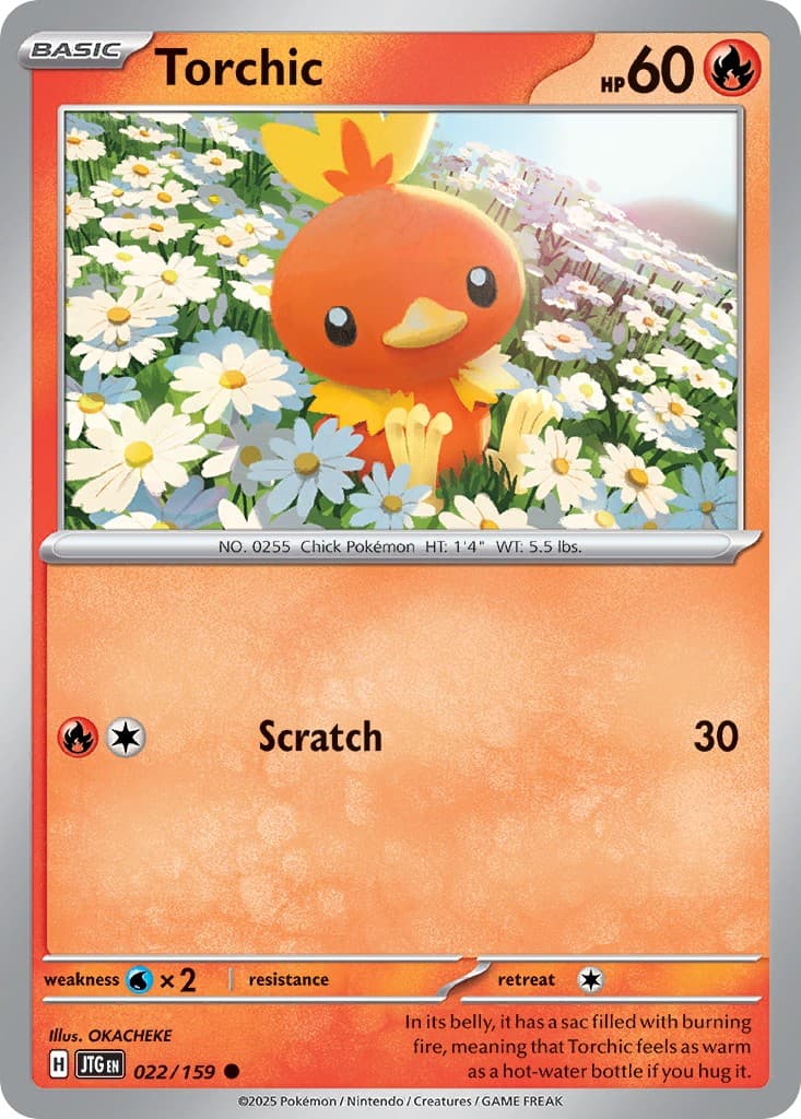 Torchic - Image 1