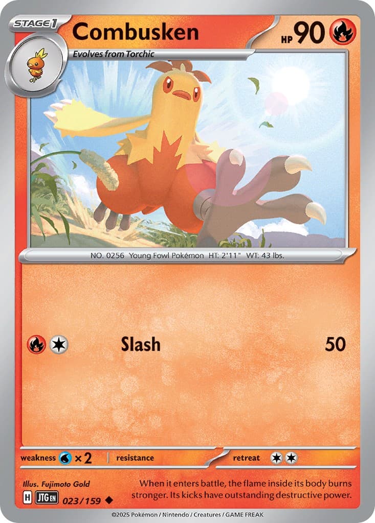 Combusken - Image 1