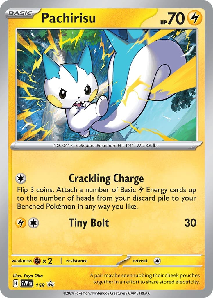 Pachirisu - Image 1