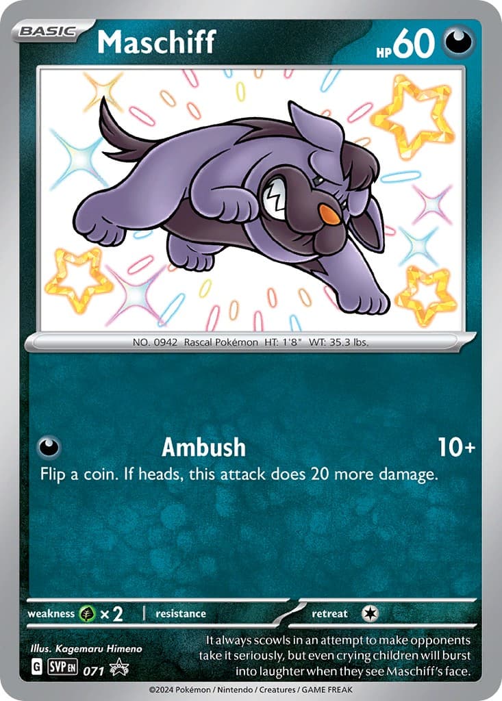 Maschiff - Image 1