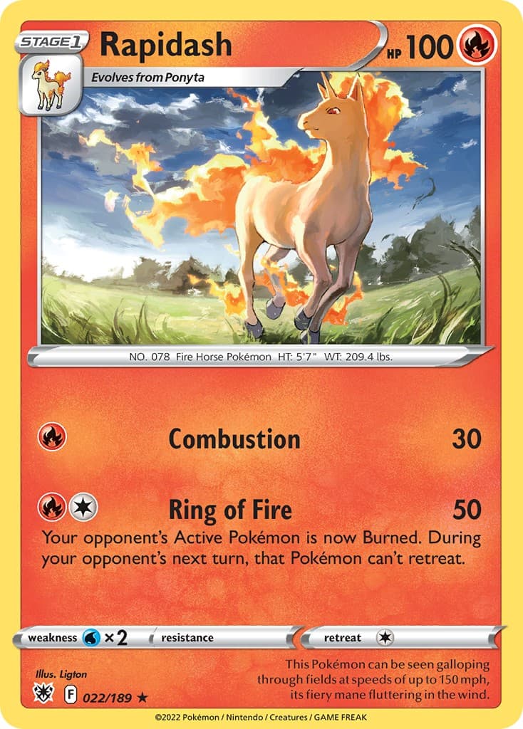 Rapidash - Image 1