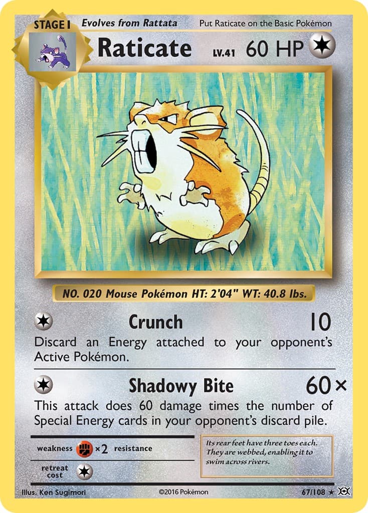 Raticate - Image 1