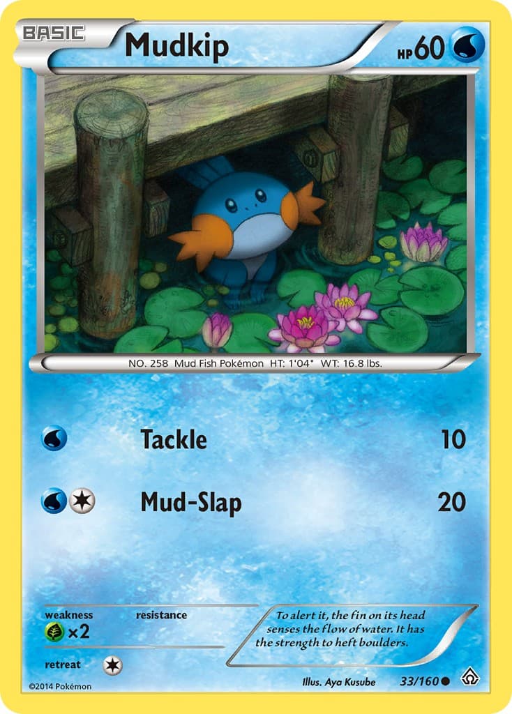Mudkip - Image 1