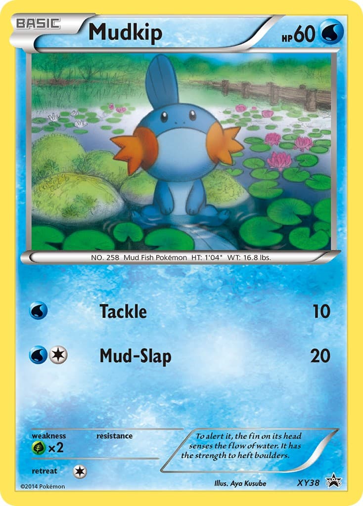 Mudkip - Image 1
