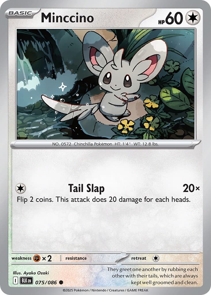 Minccino - Image 1