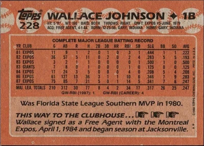 Wallace Johnson - Back