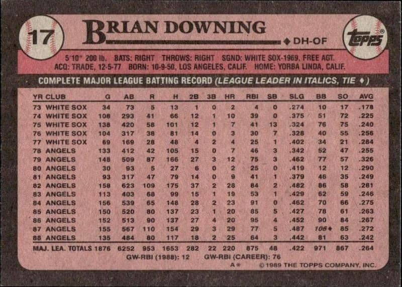Brian Downing - Back