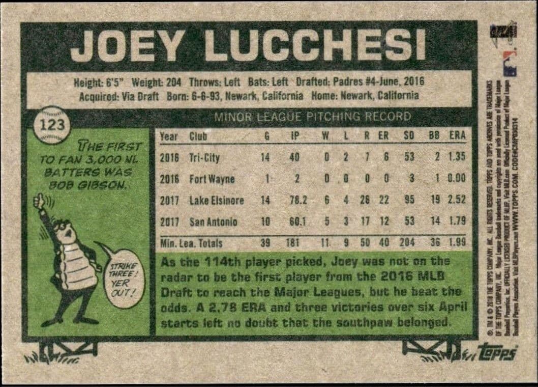 Joey Lucchesi - Back