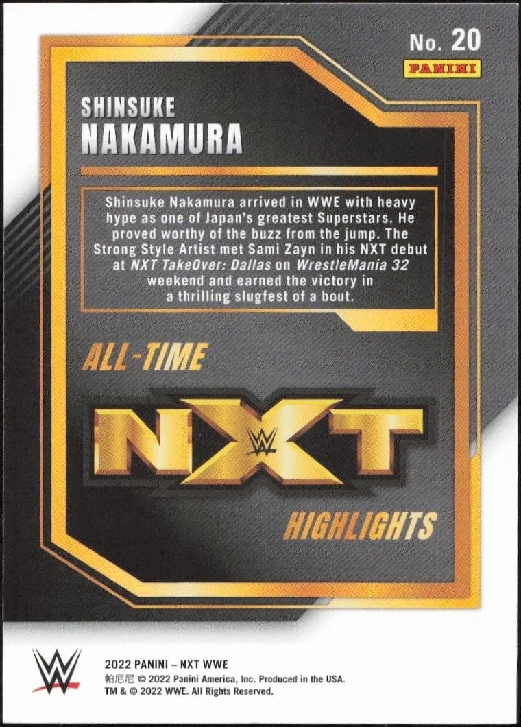 Shinsuke Nakamura - Back