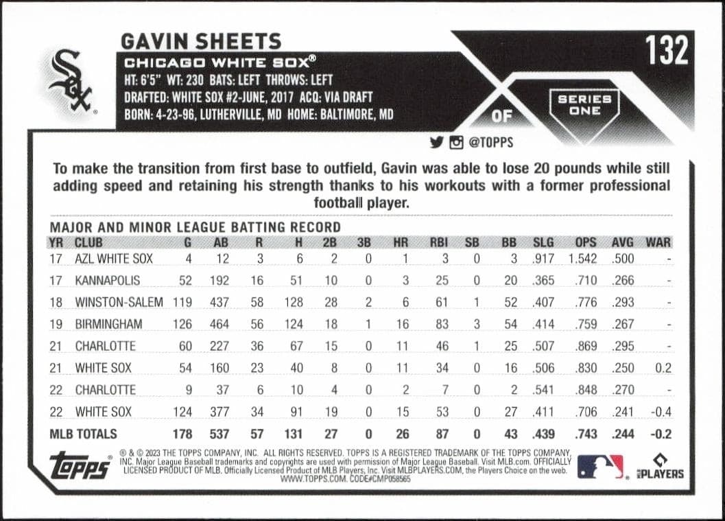Gavin Sheets - Back