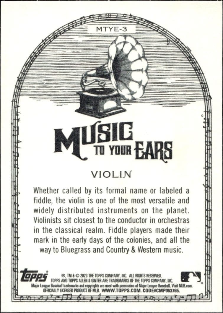 Violin - Back