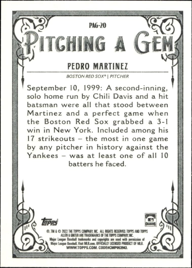 Pedro Martinez - Back