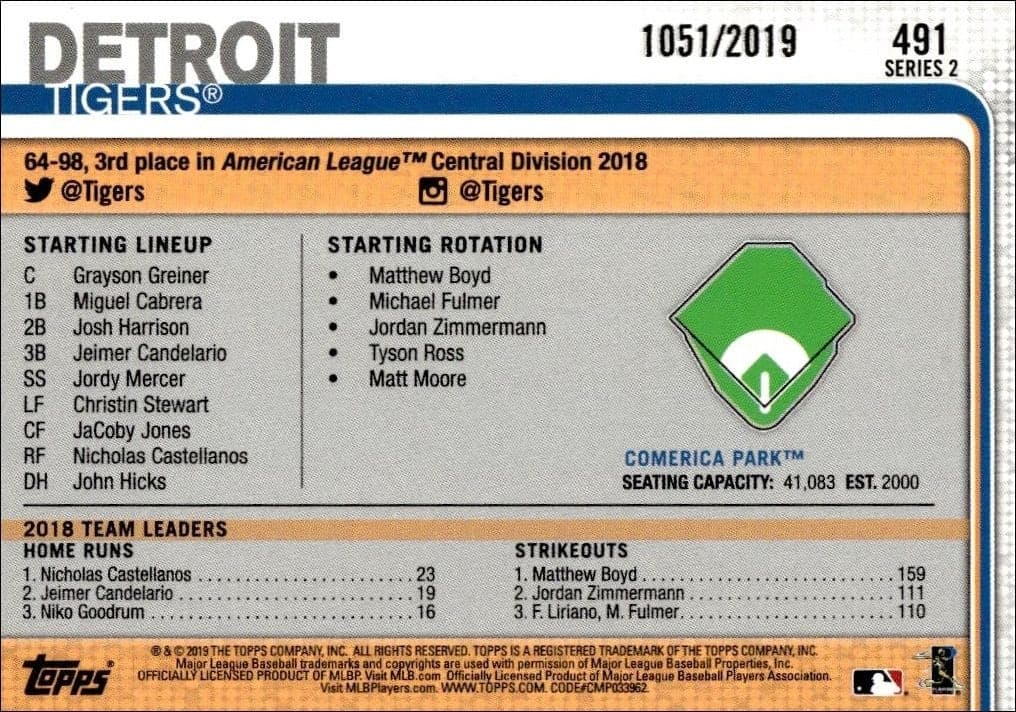 Comerica Park - Back