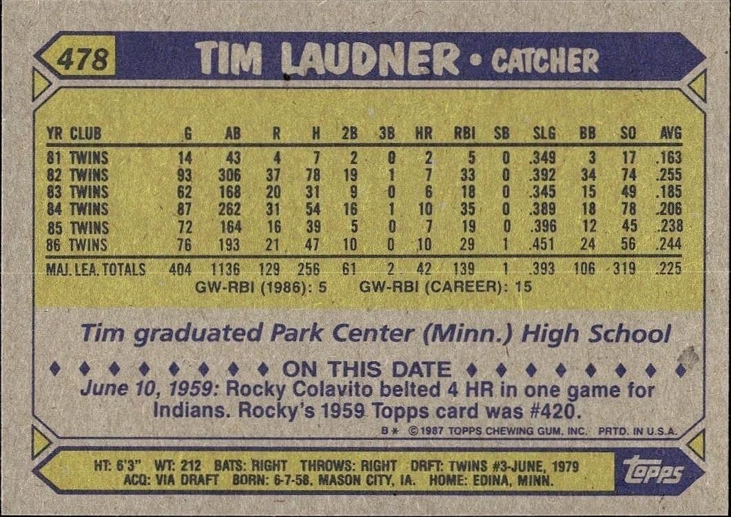 Tim Laudner - Back