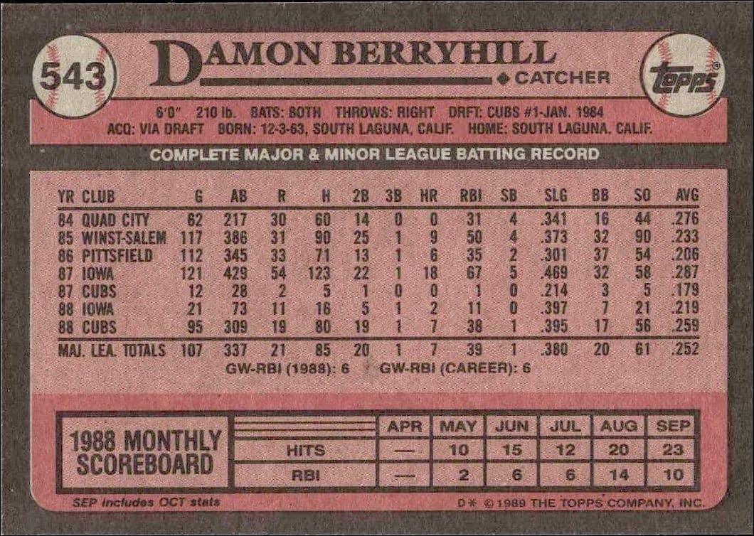 Damon Berryhill - Back