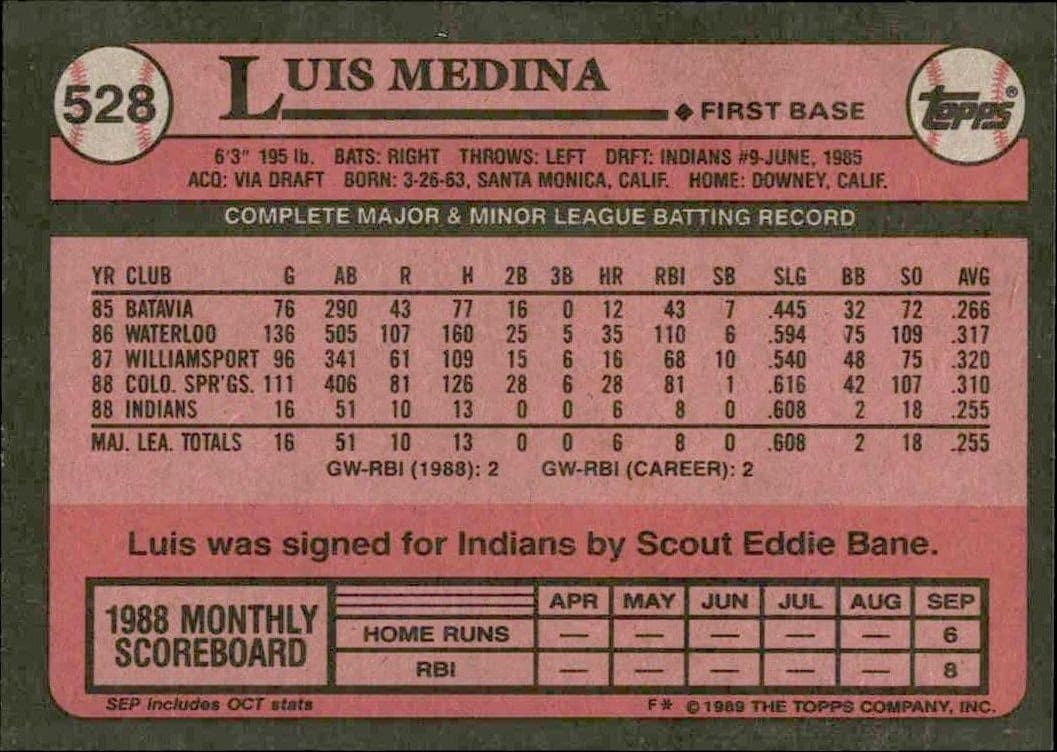 Luis Medina - Back