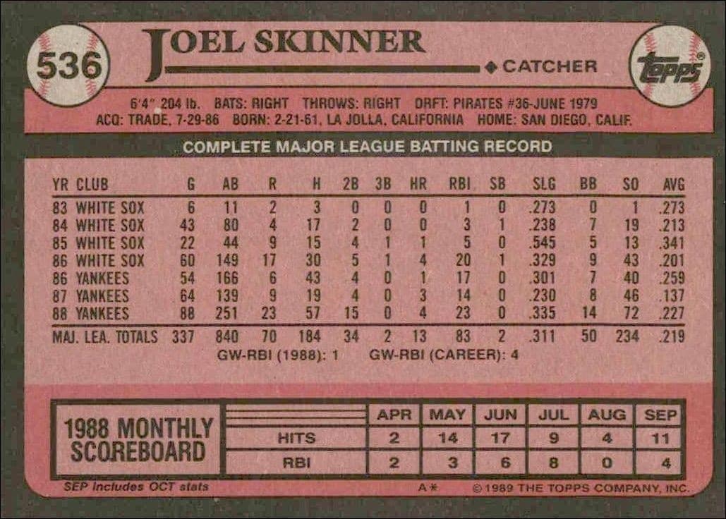 Joel Skinner - Back