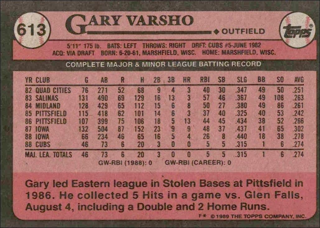 Gary Varsho - Back
