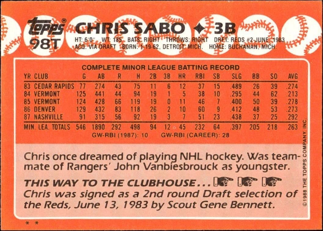Chris Sabo - Back