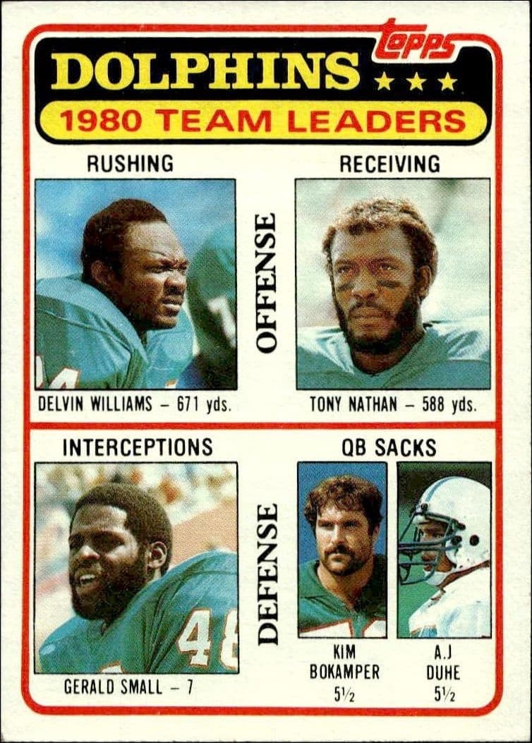 Dolphins Checklist - Front