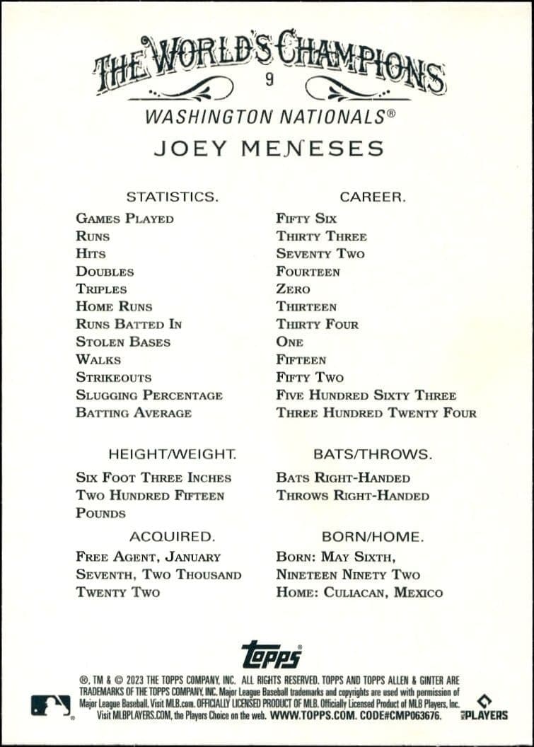 Joey Meneses - Back