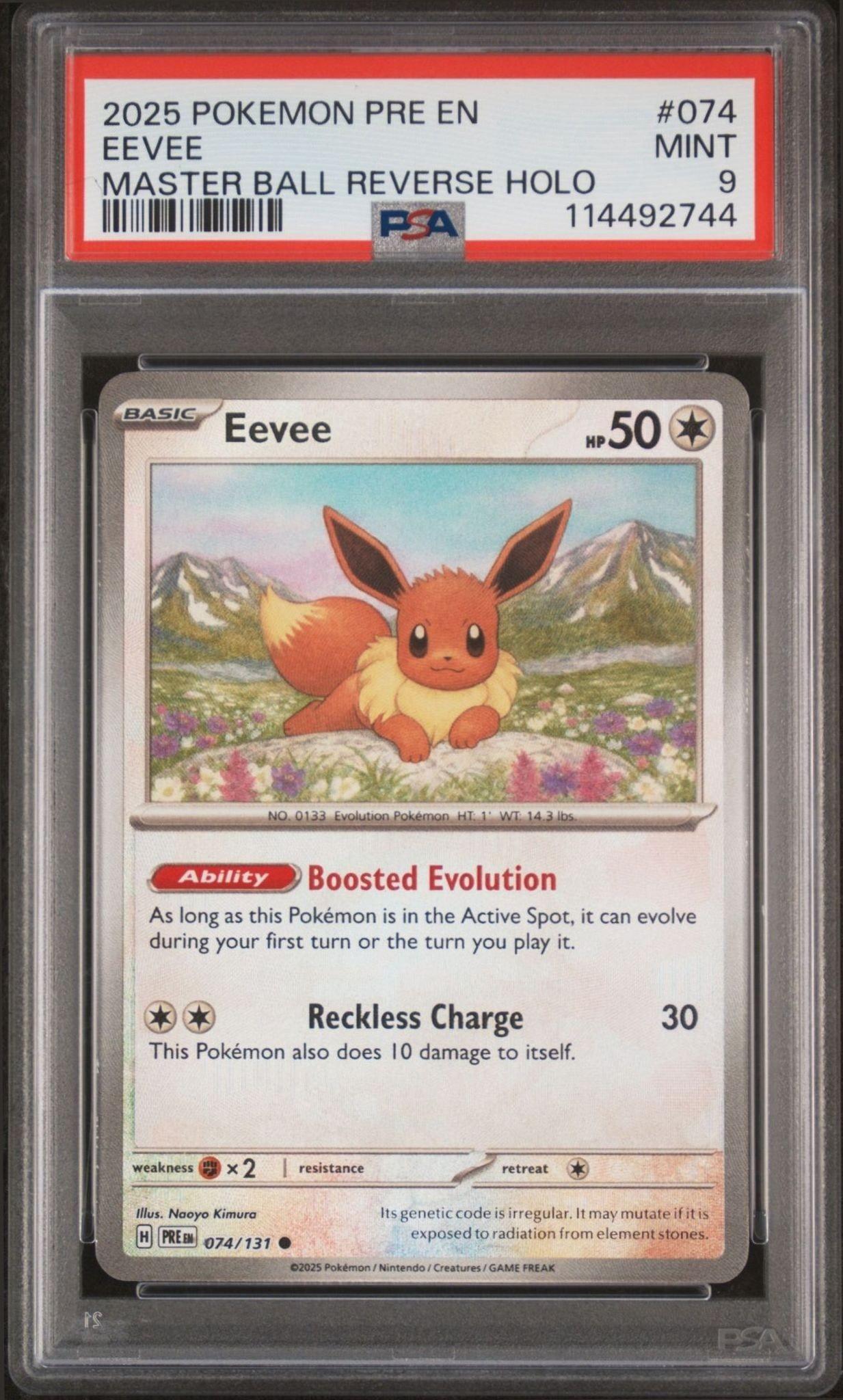 Eevee - Front