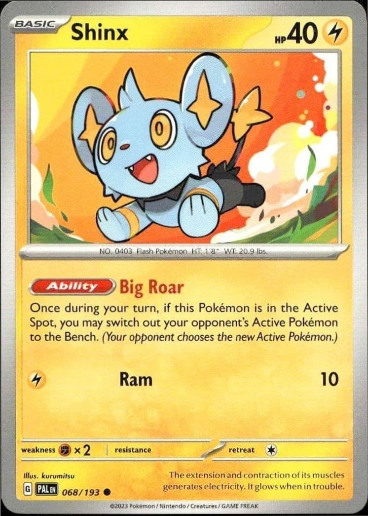 Shinx - Front