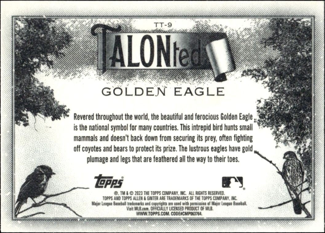 2023 Topps Allen & Ginter Golden Eagle #TT-9 baseball trading card back