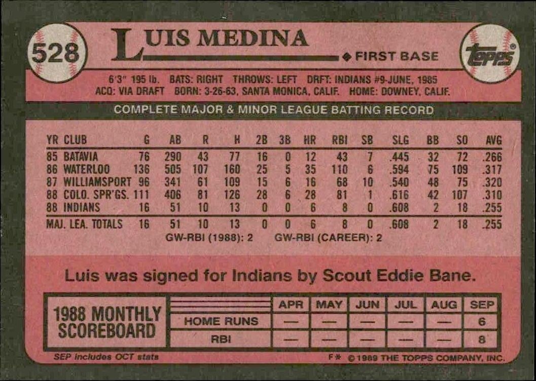 1989 Topps Luis Medina #528 baseball trading card back