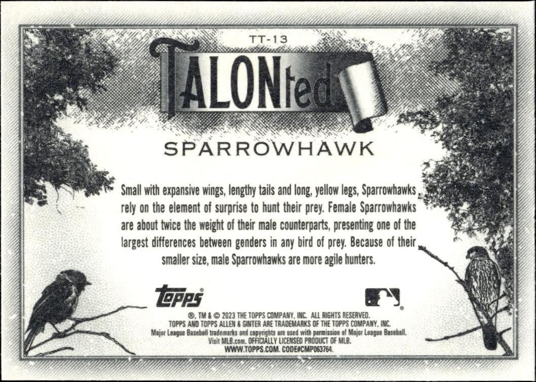 2023 Topps Allen & Ginter Sparrowhawk #TT-13 baseball trading card back