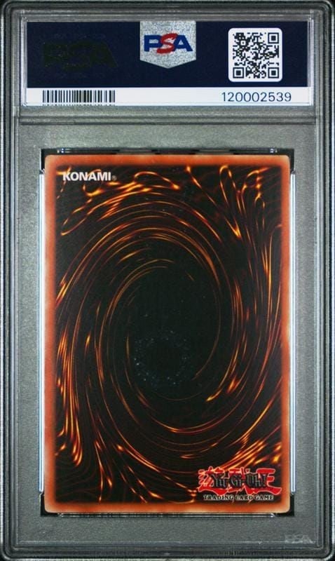 2005 Yu-Gi-Oh! Elemental Energy King's Knight #EEN-EN006 Yu-Gi-Oh! card back