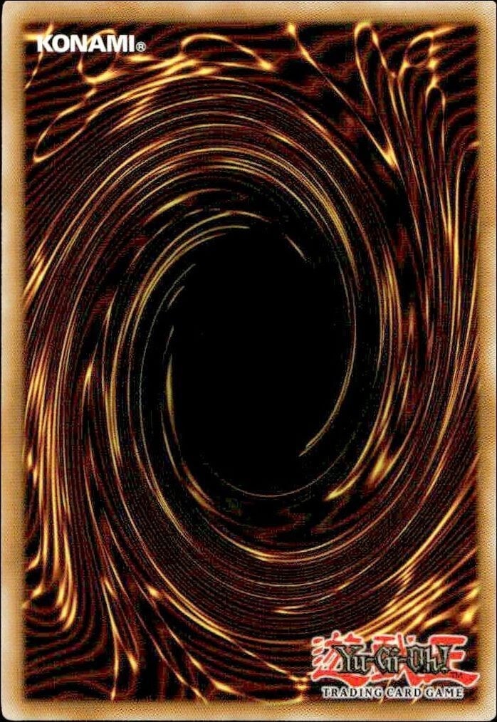 2009 Yu-Gi-Oh! 5d's Starter Deck 2009 Quillbolt Hedgehog #5DS2-EN013 Yu-Gi-Oh! card back