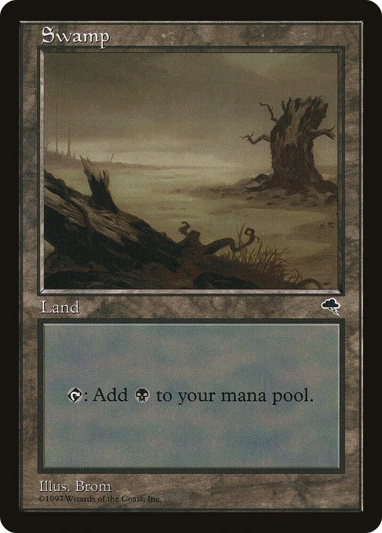 Swamp - Image 1