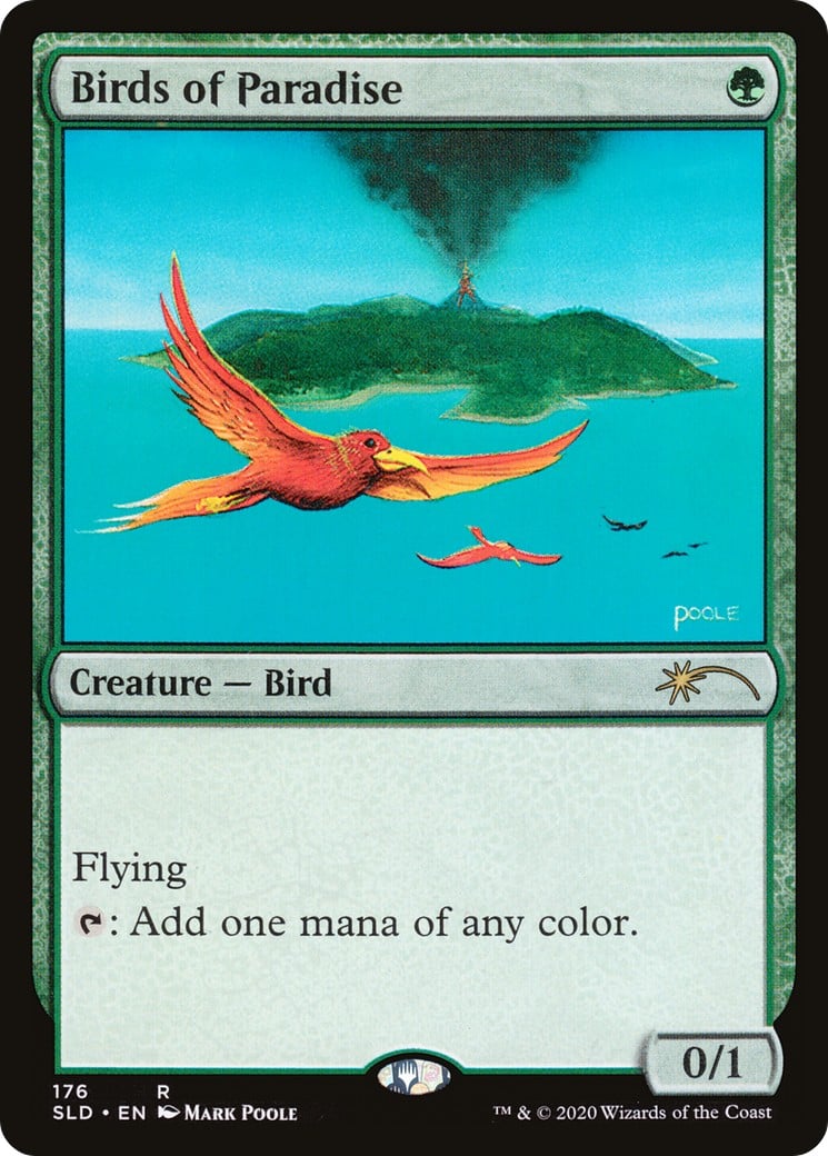 Birds of Paradise - Image 1