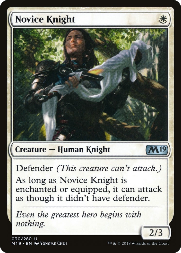 Novice Knight - Image 1