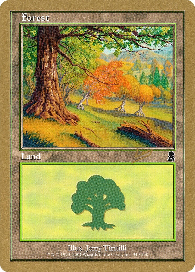 Forest - Image 1