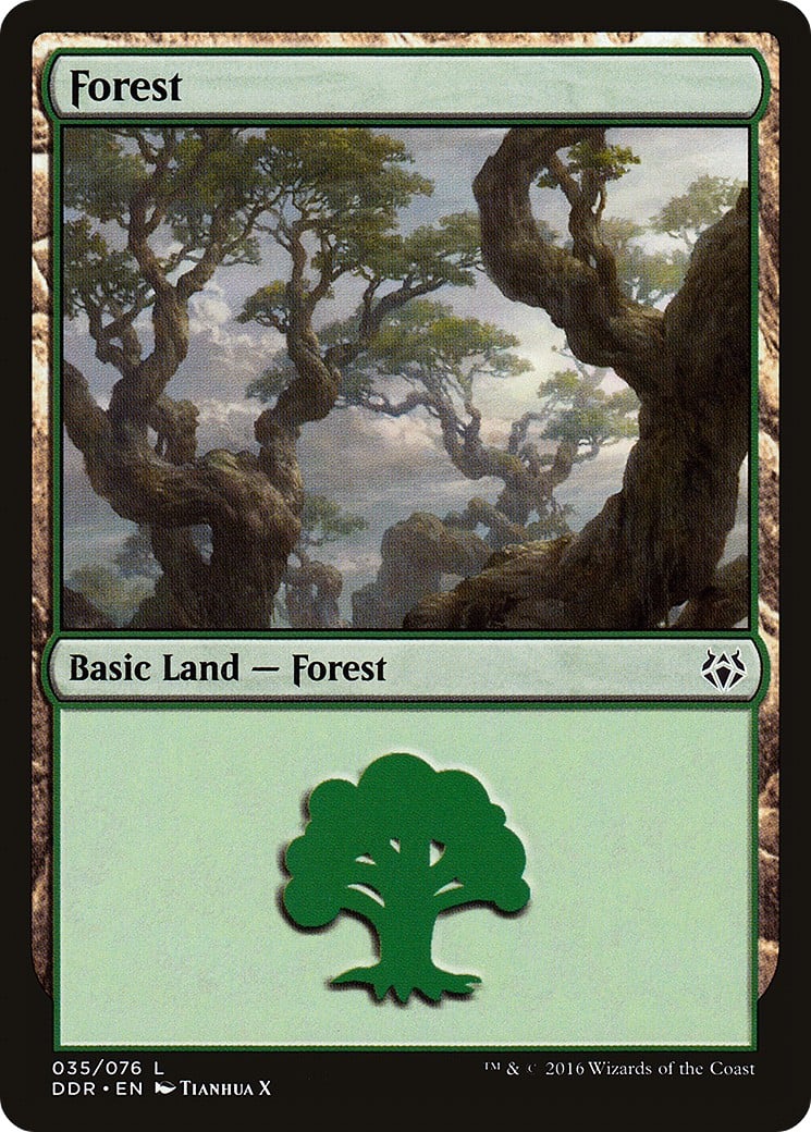 Forest - Image 1