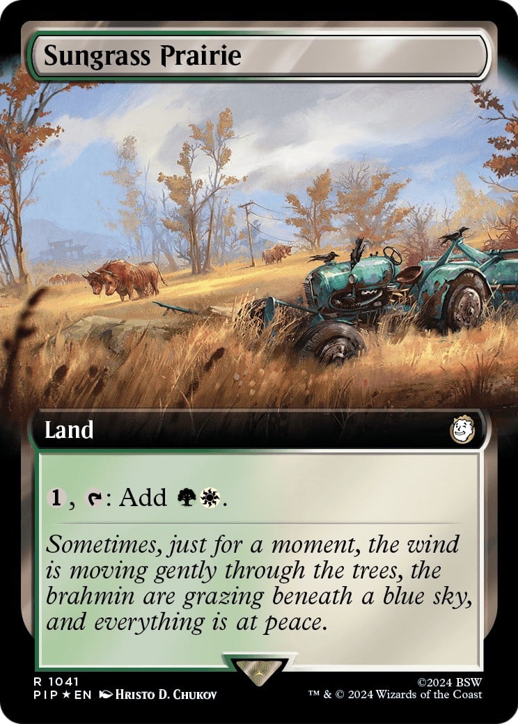 Sungrass Prairie - Image 1