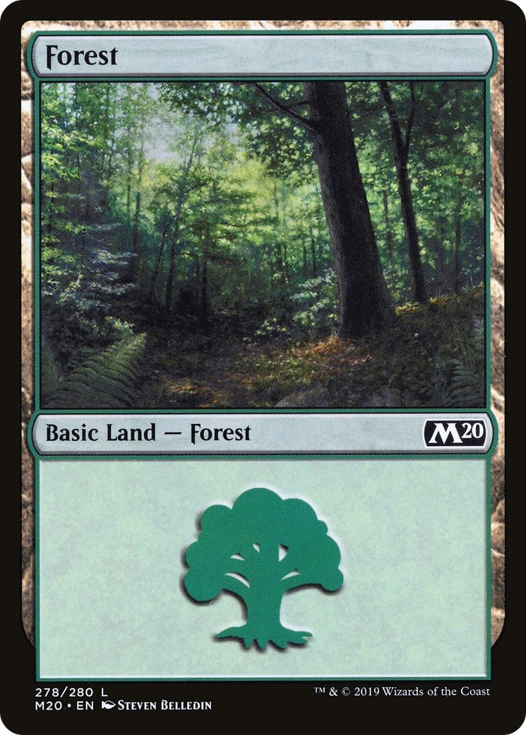 Forest - Image 1