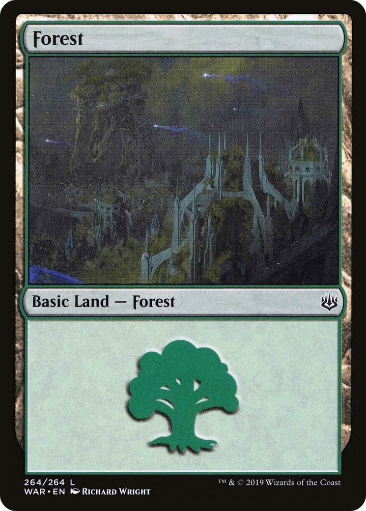 Forest - Image 1