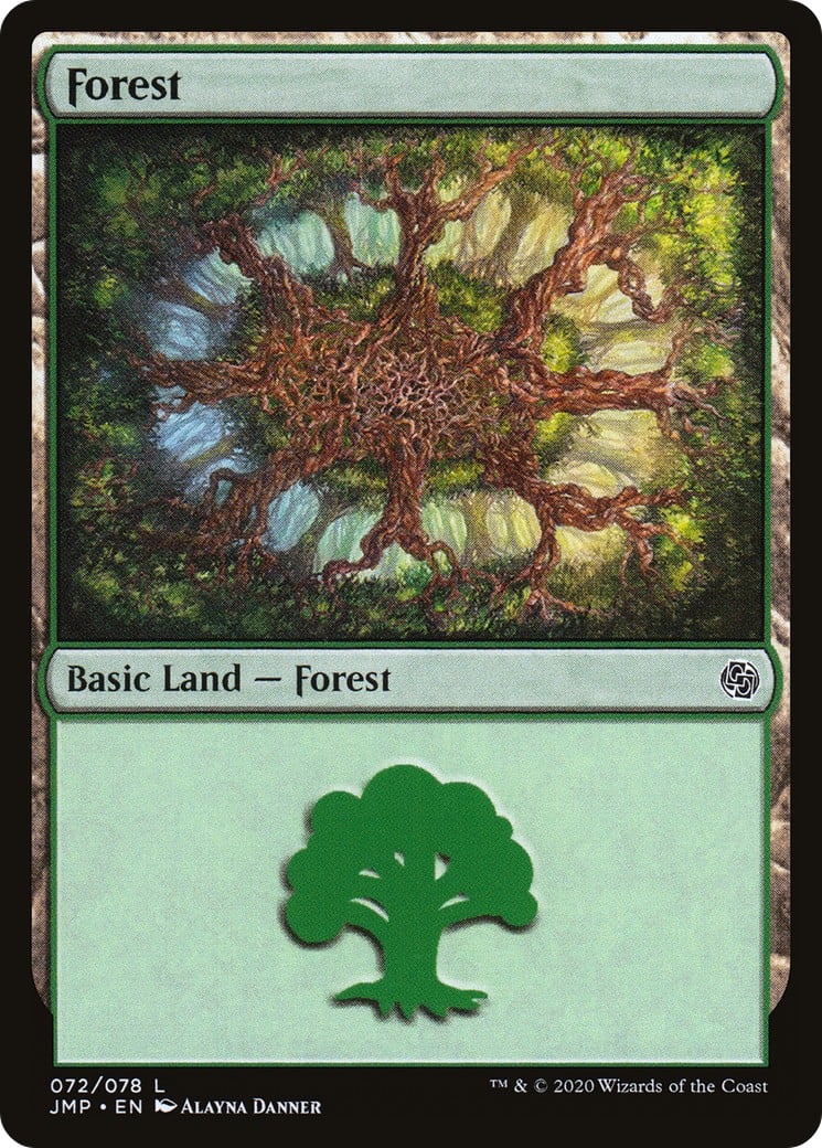 Forest - Image 1