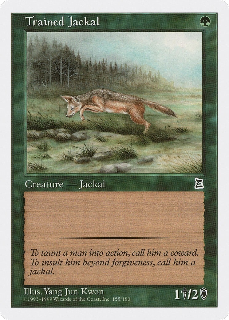 Trained Jackal - Image 1